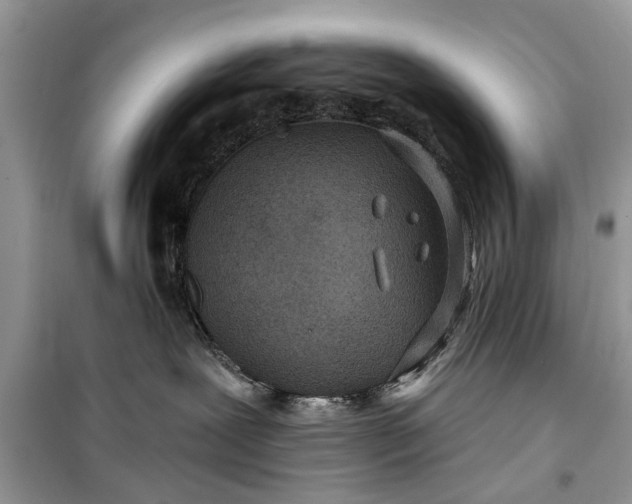 X0000099520239200805291218