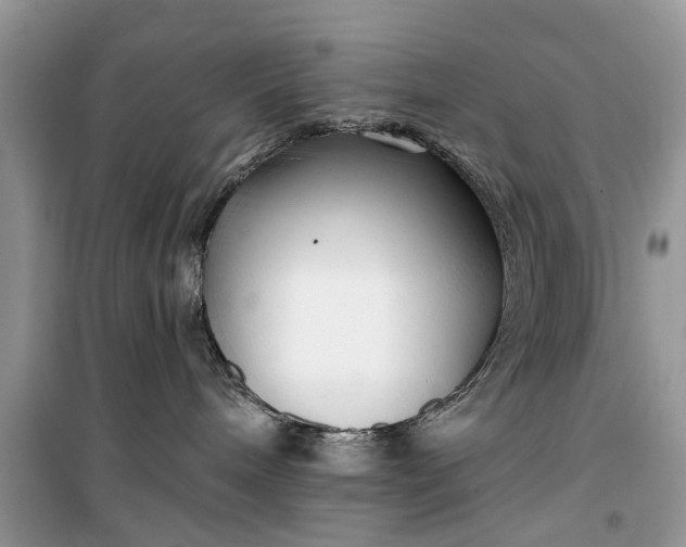 X0000099520240200805291218