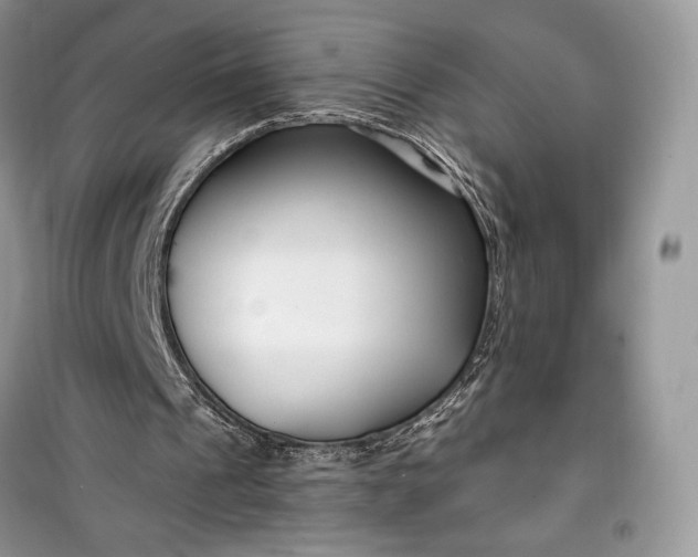 X0000099520241200805291217