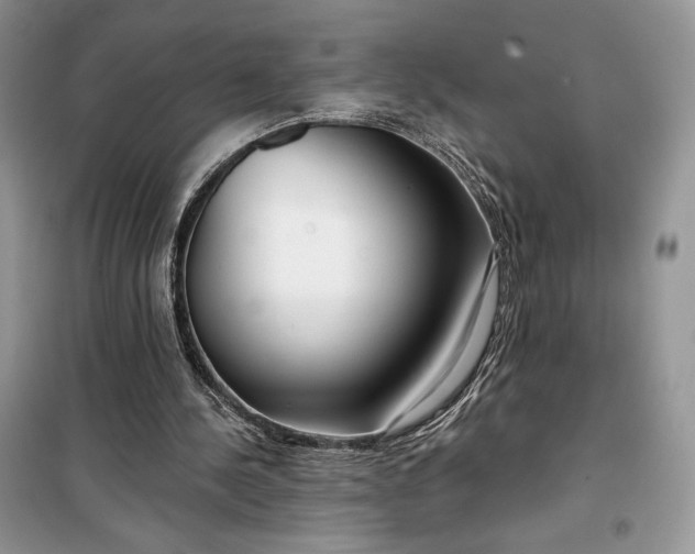 X0000099520244200805291217