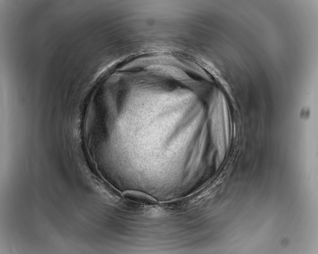 X0000099520249200805291217