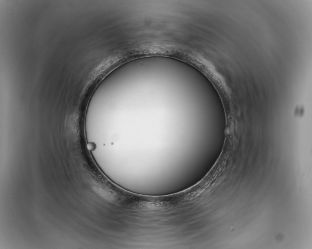 X0000099520250200805291217