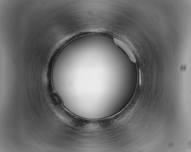 X0000099520252200805291217