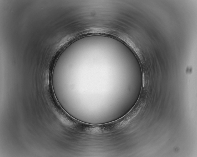 X0000099520253200805291217