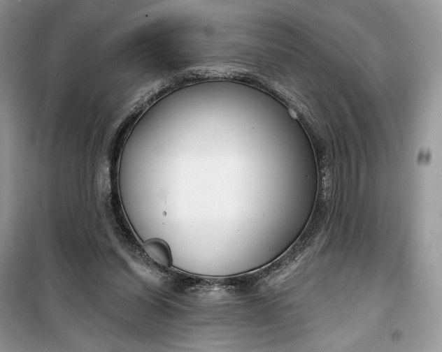 X0000099520254200805291217