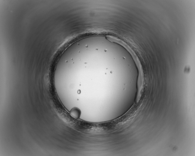 X0000099520256200805291217