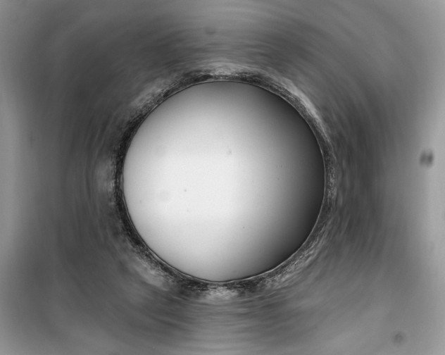 X0000099520257200805291217