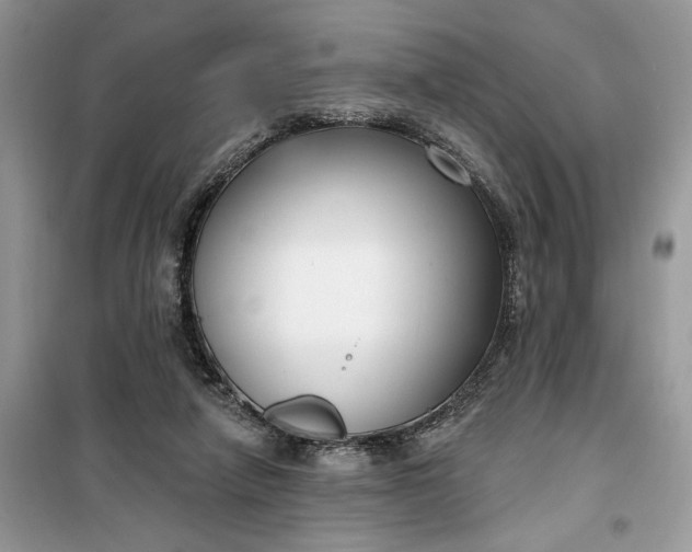 X0000099520258200805291217