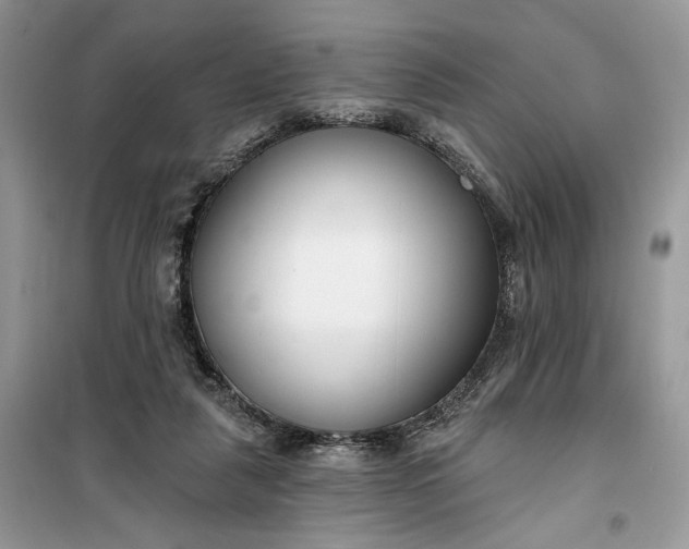 X0000099520259200805291217