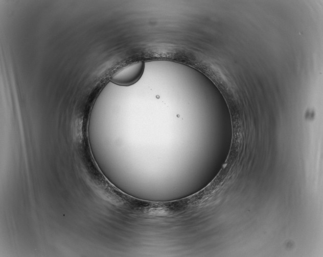 X0000099520262200805291217