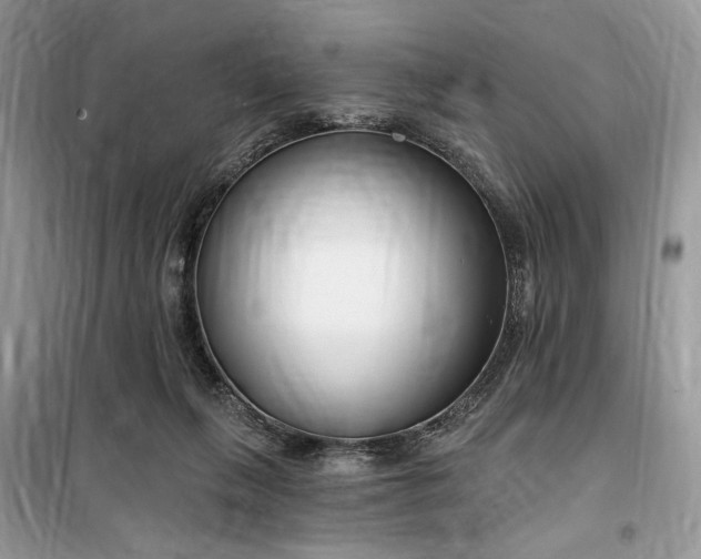 X0000099520263200805291217