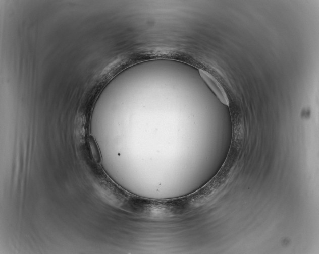 X0000099520264200805291217