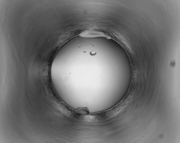 X0000099520265200805291217