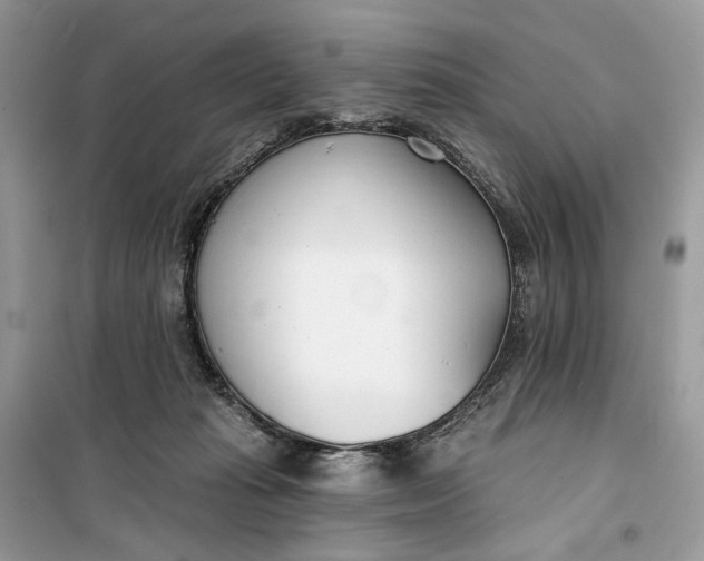 X0000099520269200805291217