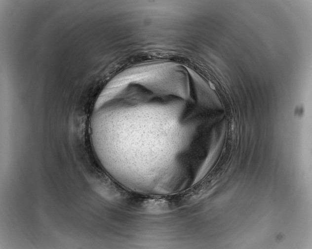 X0000099520271200805291217