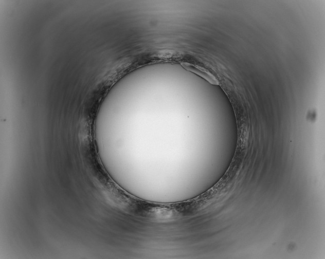 X0000099520272200805291217