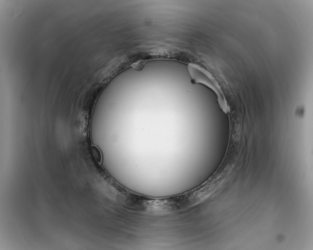 X0000099520273200805291217