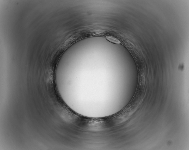 X0000099520274200805291217