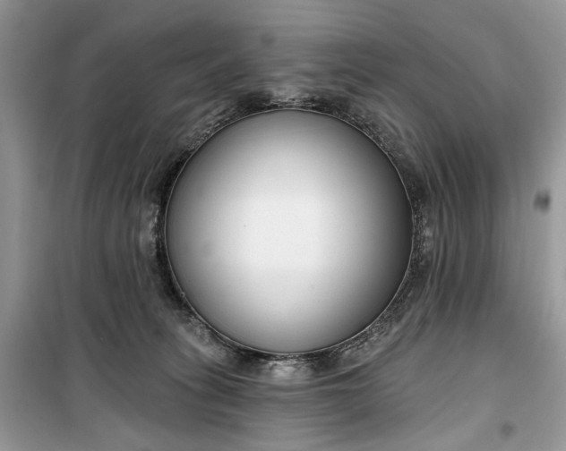 X0000099520275200805291217