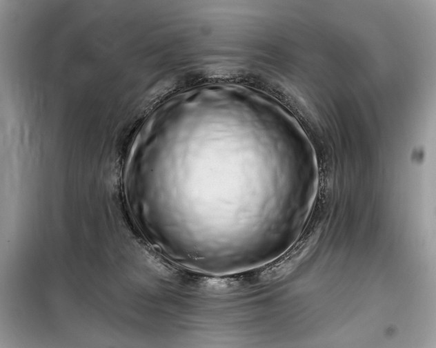 X0000099520277200805291217