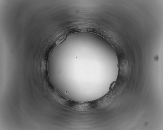 X0000099520278200805291217