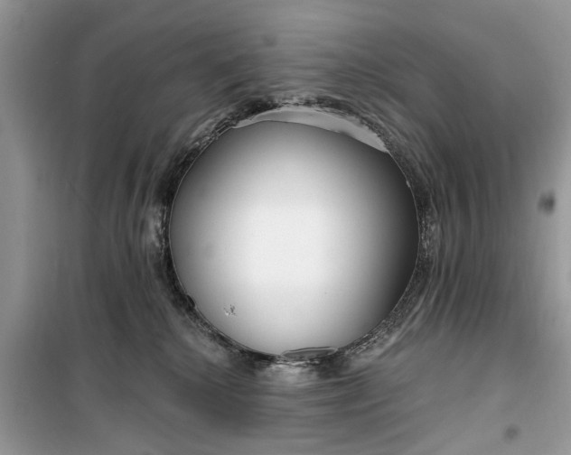 X0000099520280200805291217