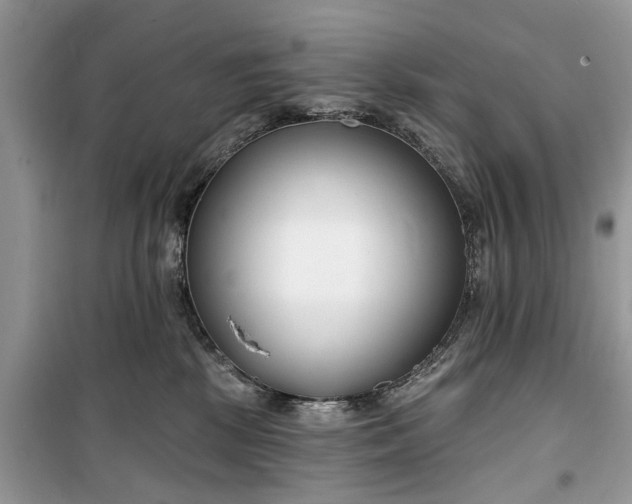 X0000099520281200805291217