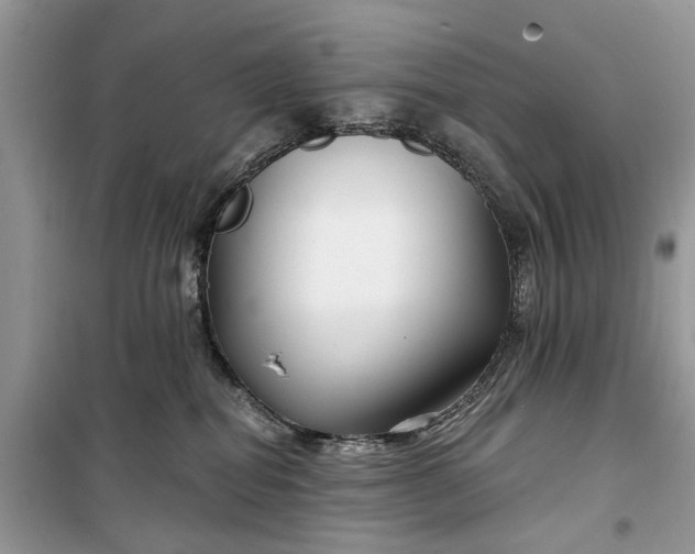 X0000099520282200805291218