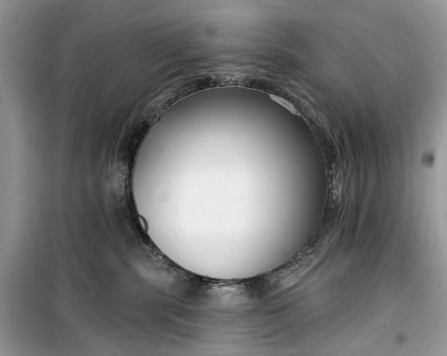 X0000099520283200805291218