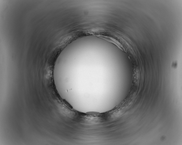 X0000099520284200805291218