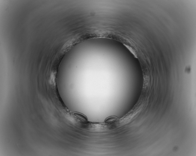 X0000099520286200805291218