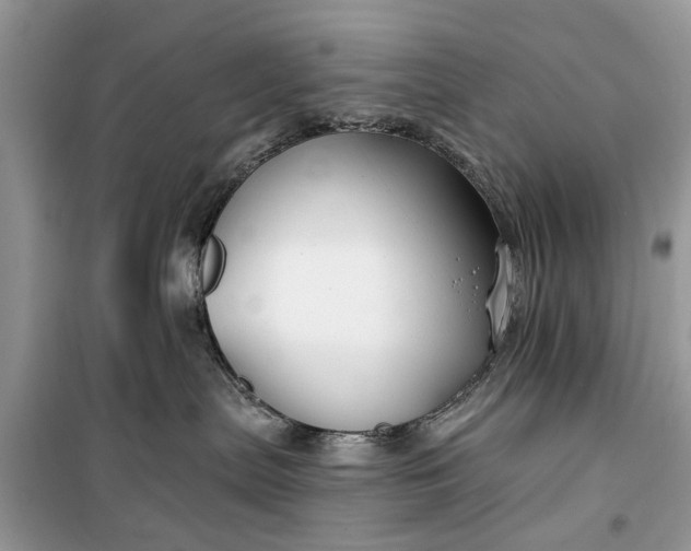 X0000099520287200805291218