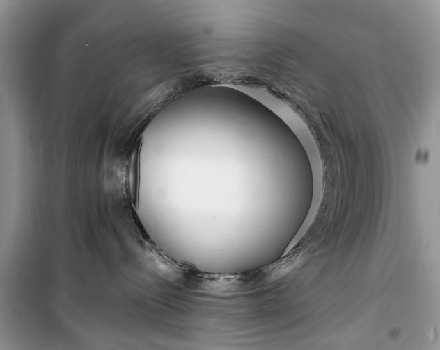 X0000099520288200805291218