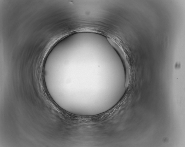 X0000099520289200805291217