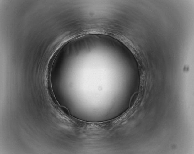 X0000099520290200805291217