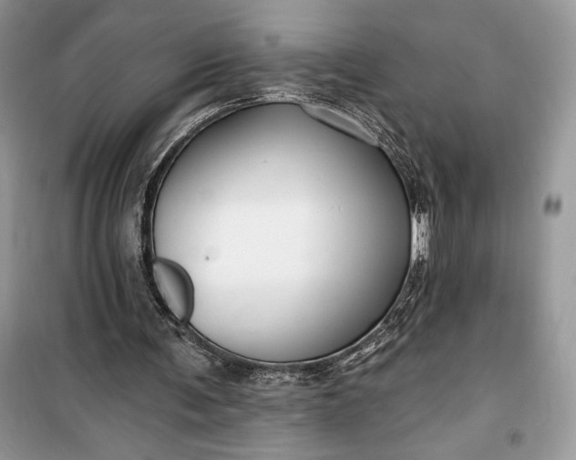 X0000099520291200805291217