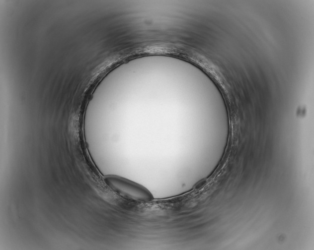 X0000099520297200805291217