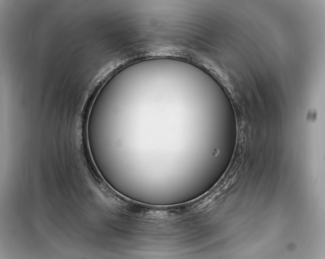 X0000099520298200805291217