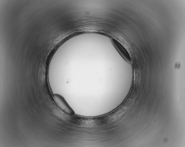 X0000099520301200805291217