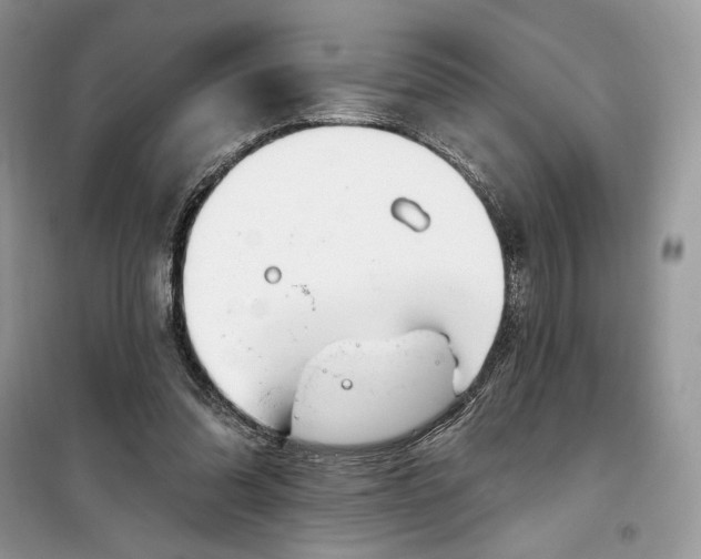 X0000099520302200805291217