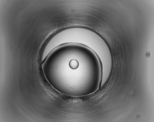 X0000099520304200805291217