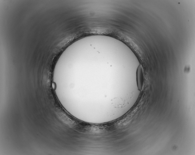 X0000099520305200805291217