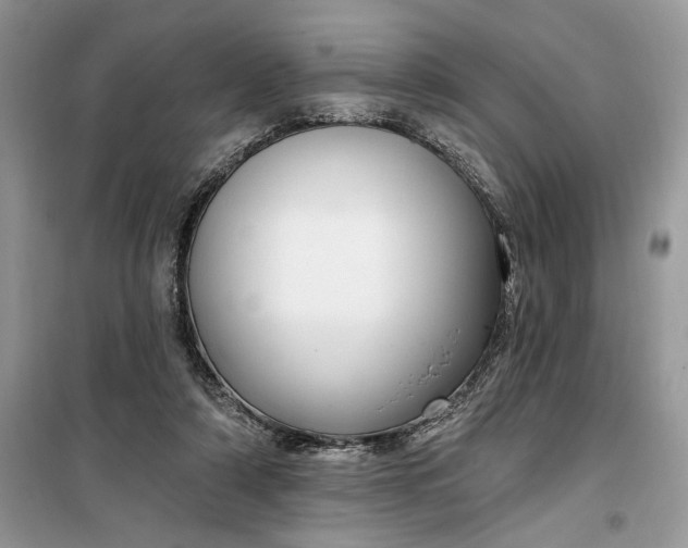 X0000099520306200805291217