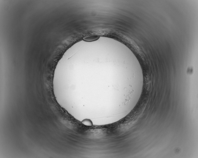 X0000099520307200805291217