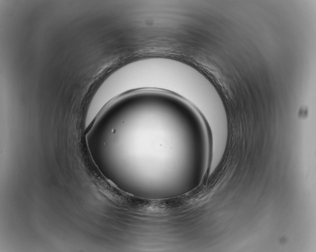 X0000099520308200805291217