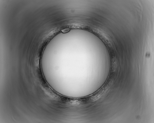 X0000099520310200805291217