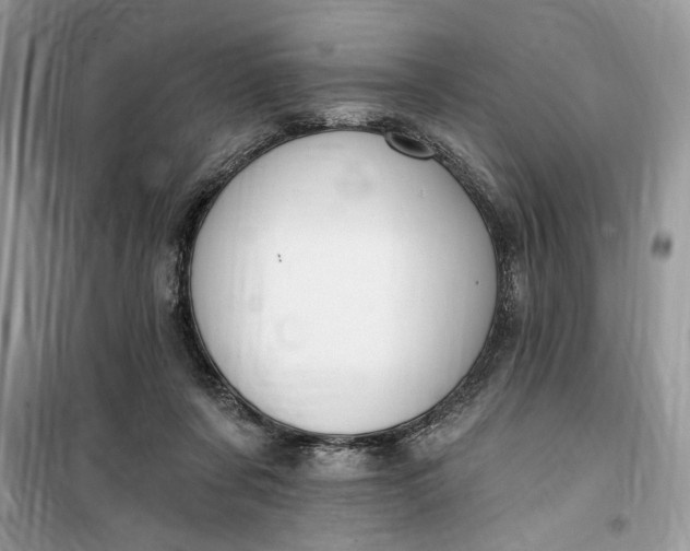 X0000099520311200805291217