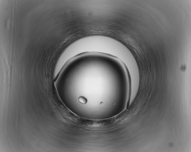 X0000099520312200805291217