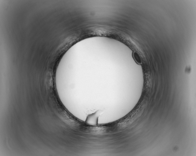 X0000099520313200805291217