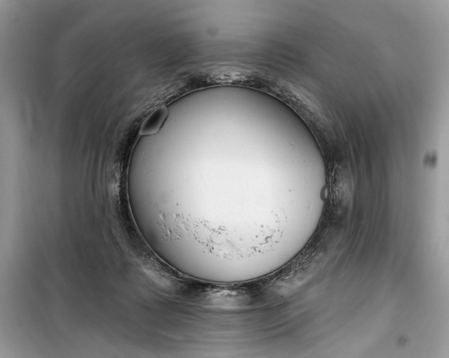 X0000099520315200805291217